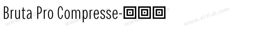 Bruta Pro Compresse字体转换